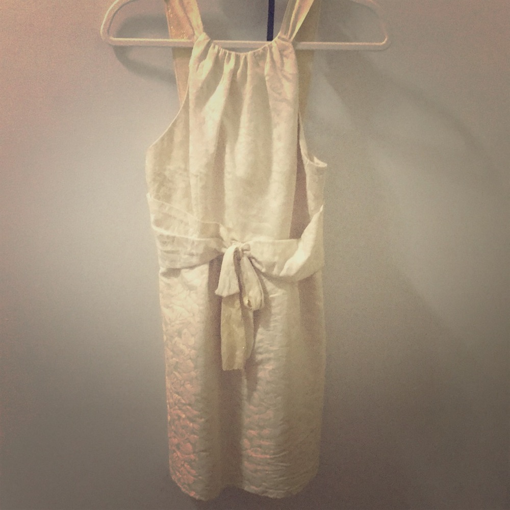 Vera wang champagne dress with gold trim straps